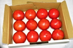 増田園芸のぜいたくトマト 1kg